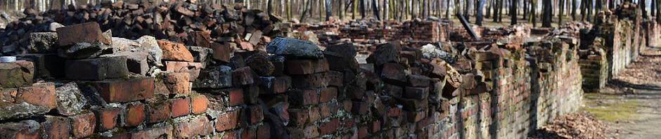 Les ruines du Krematorium V à Birkenau (photo Louise Macé - mars 2011)