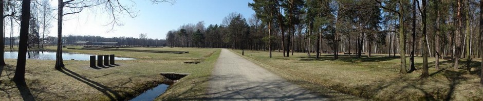 Vue du Birkenwald (Bois de bouleaux) à Auschwitz-Birkenau (photo Olivier QUERUEL - mars 2011)