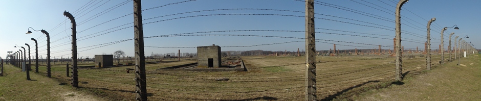 Au coeur de Birkenau (vue sur le secteur BII)