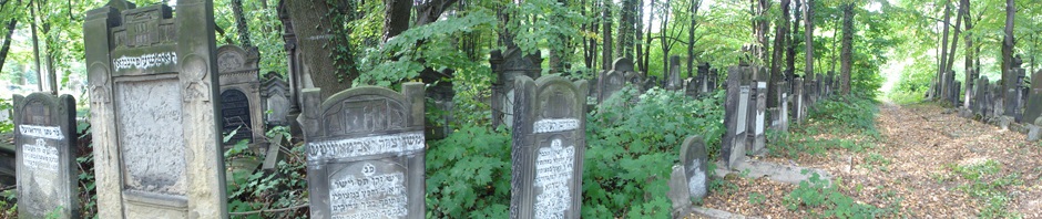 Dans le cimetière de Lodz