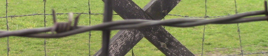 La brutalisation à Majdanek